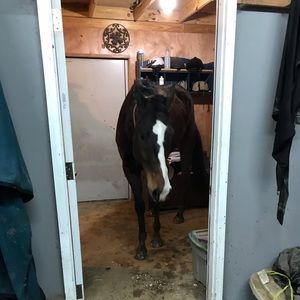 Meet your Posher, Lynn